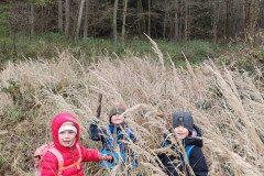 IMG_20231123_103229