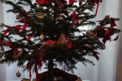 IMG_20231130_104706