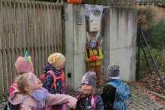 IMG_20231031_110433