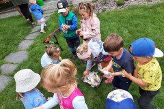 IMG-20240608-WA0002