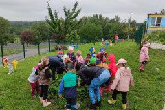 IMG_20240603_104418