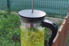 IMG_20240605_080326