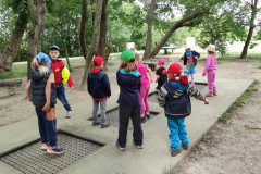 IMG_20240611_104737