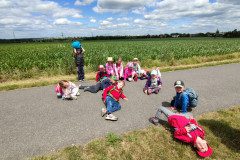 IMG_20240611_122941