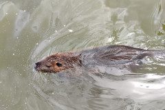 IMG_20240611_133648