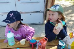IMG-20240515-WA0020