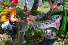 IMG_20240502_110455