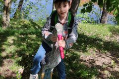 IMG_20240502_110459