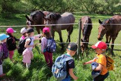 IMG_20240502_111447