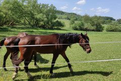 IMG_20240502_111502