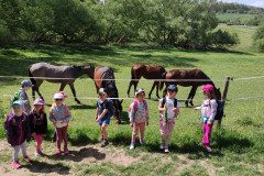 IMG_20240502_111545