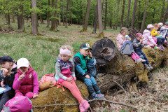 IMG_20240503_092854