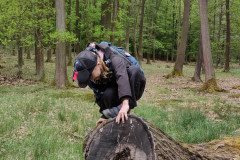 IMG_20240503_093421