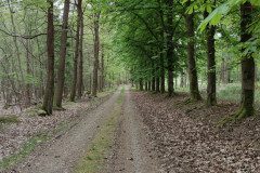 IMG_20240503_094235