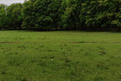 IMG_20240503_100621