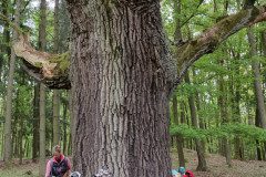 IMG_20240503_100750