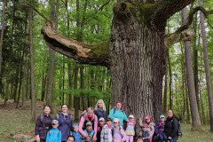 IMG_20240503_101011