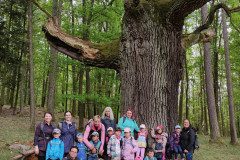IMG_20240503_101015