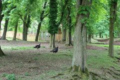 IMG_20240503_103812