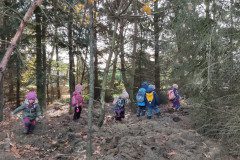 IMG_20231109_103937