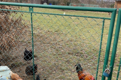 3e0a64a2-05aa-412e-af9a-788318ccfac2