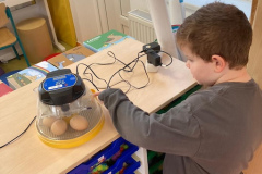 ad53da79-d669-4cf6-93f7-81f2797b3769