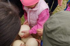 IMG-20230524-WA0004