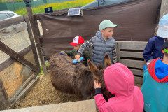 IMG-20230524-WA0012