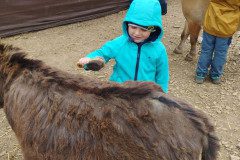 IMG-20230524-WA0014