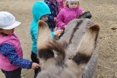 IMG-20230524-WA0019