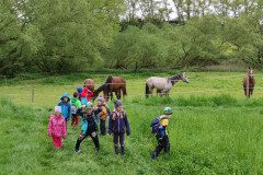 IMG_20230518_101754