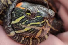 IMG_20230526_101903