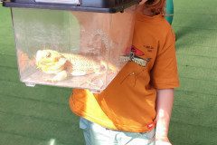 IMG_20230526_102402