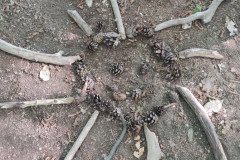 IMG_20230529_100843