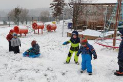 IMG_20221212_084459