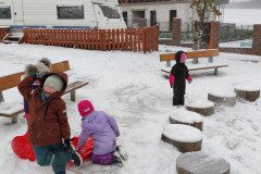 IMG_20221212_084505