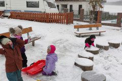IMG_20221212_084507