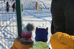 IMG_20221213_103416