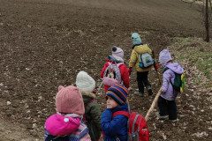 IMG_20230308_104607