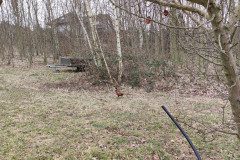 IMG_20230308_104753