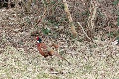 IMG_20230308_104759