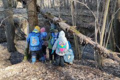 IMG_20230315_094618