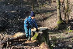IMG_20230315_094633