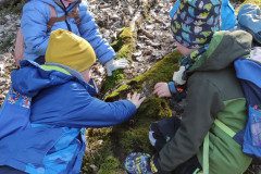 IMG_20230315_095118