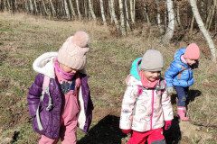 IMG_20230315_103552
