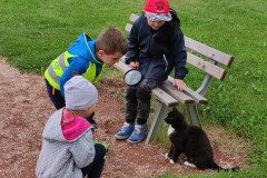 IMG_20220606_101422