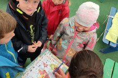IMG_20220607_083454
