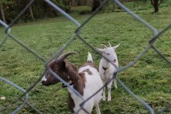 IMG_20221109_101423