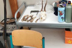 IMG_20221111_092937