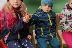 IMG_20221111_093121